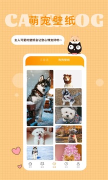 猫语狗语转换器应用截图5