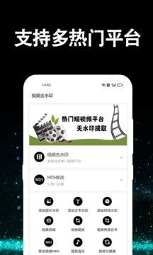 視頻去水印截圖