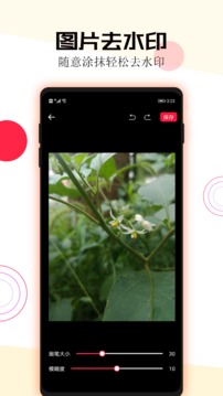 短视频一键去水印应用截图4