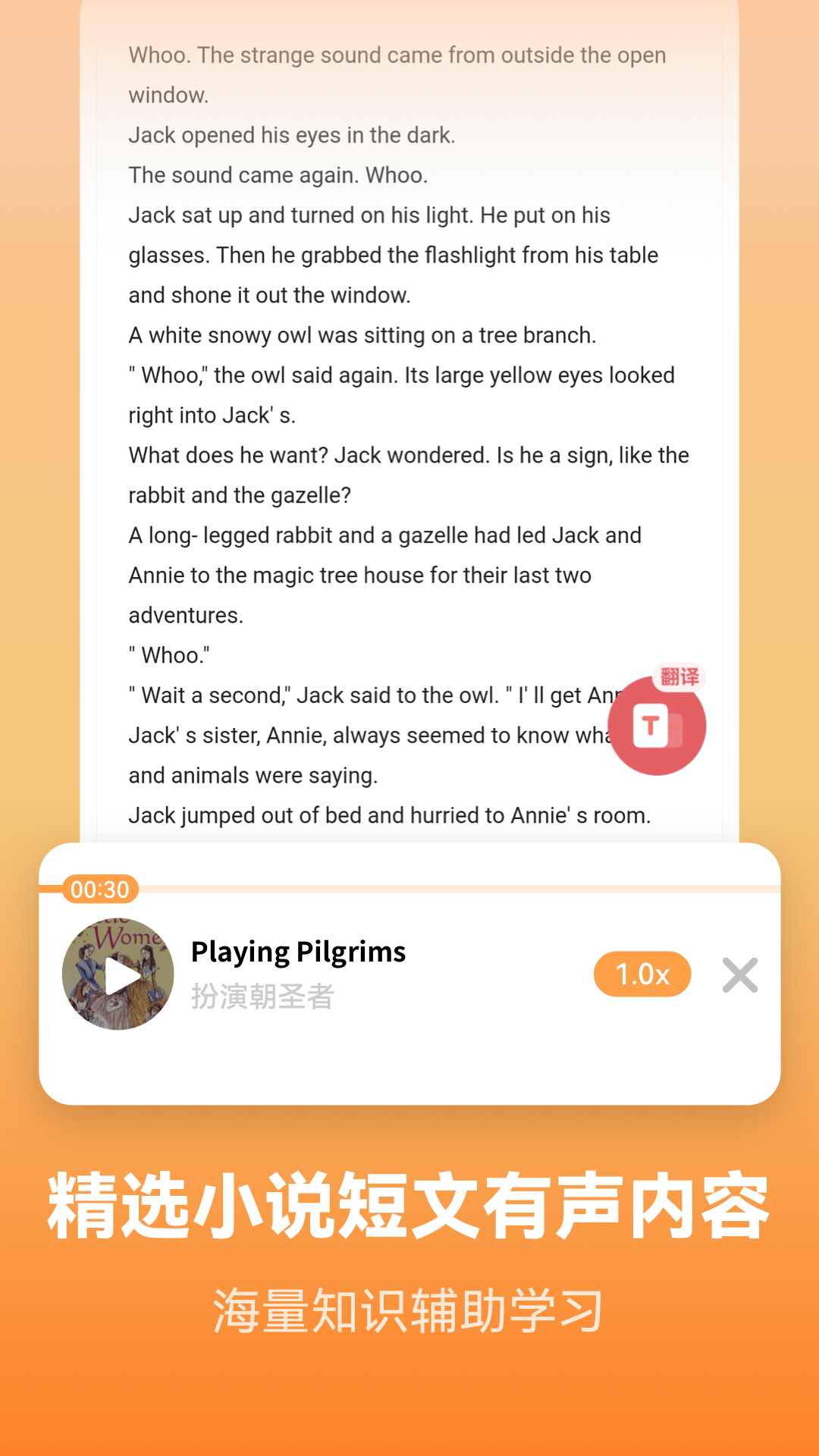 萊特英語背單詞截圖預(yù)覽