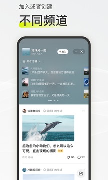 迷島截圖