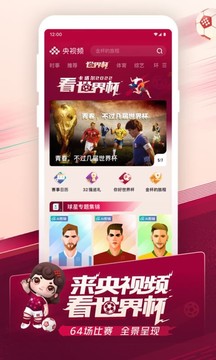 央視頻截圖