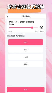 音頻格式轉(zhuǎn)換截圖