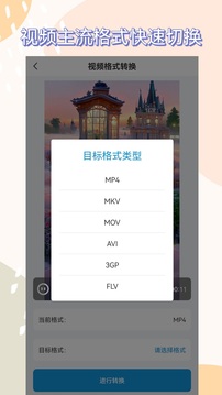 轉(zhuǎn)換器截圖