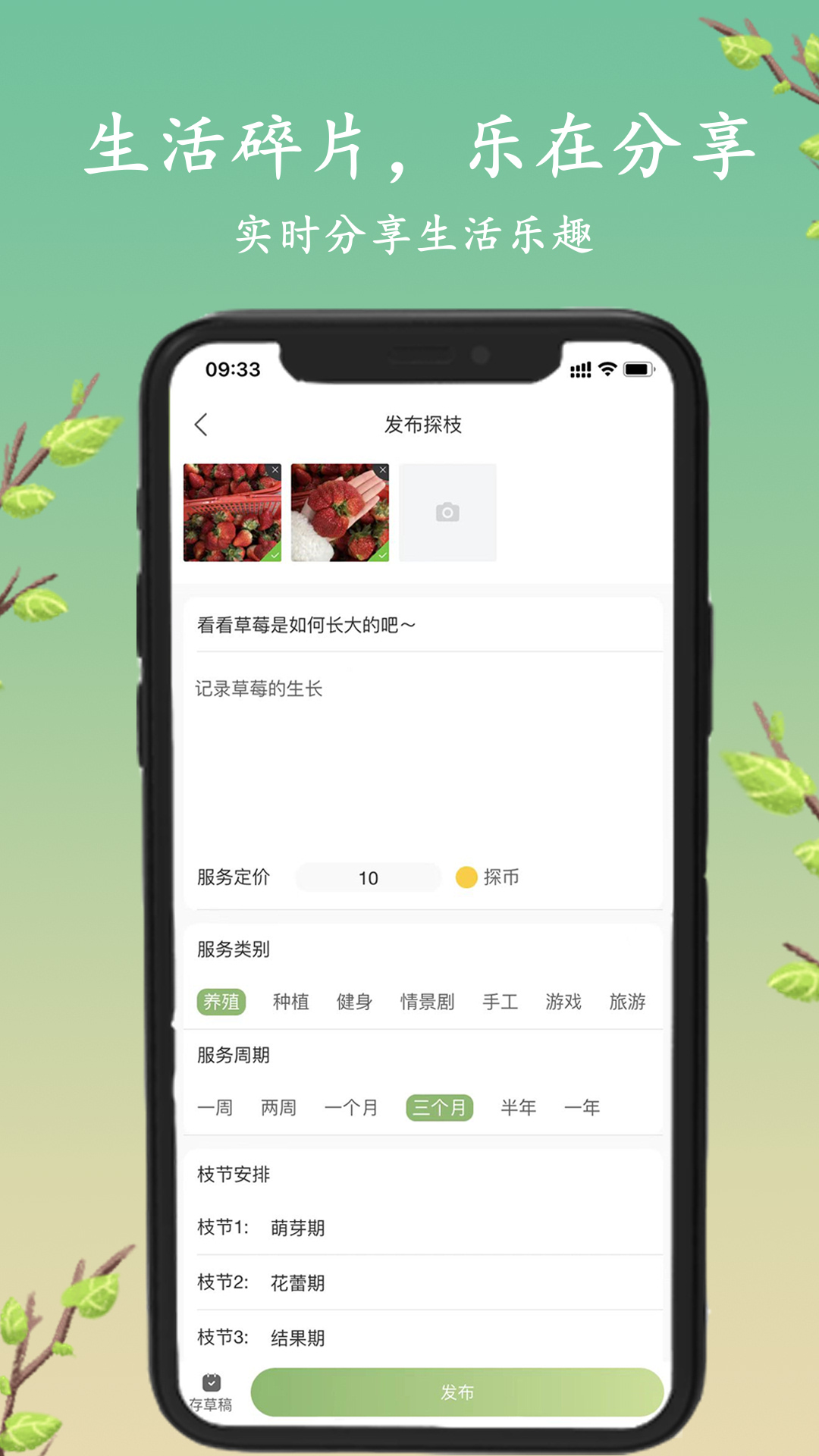 探枝v1.3.5截图3