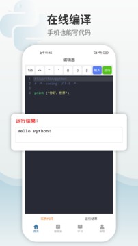 Python编程狮截图