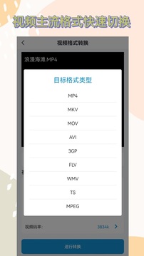 格式轉(zhuǎn)換截圖