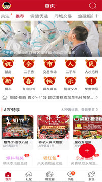 銅陵網(wǎng)截圖