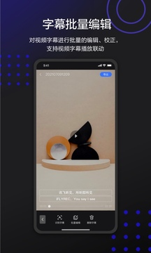 訊飛聽見字幕截圖