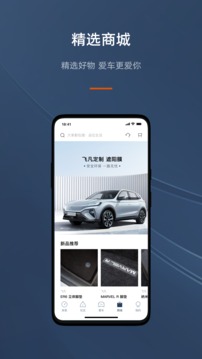 飛凡汽車截圖