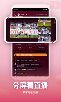 央視頻截圖