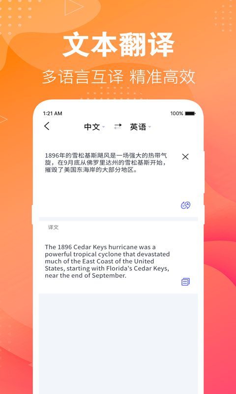 专业翻译v3.3.6截图2