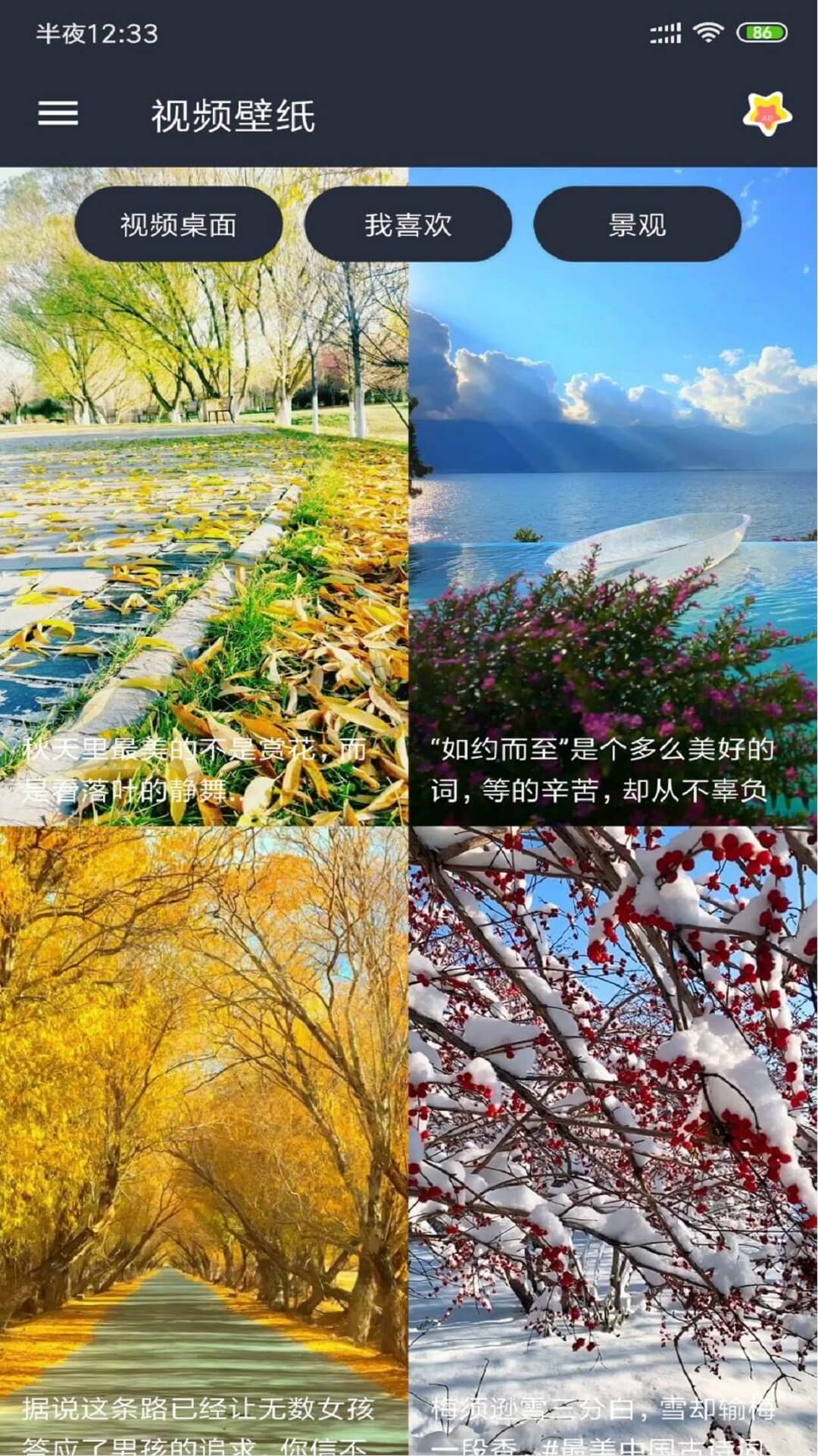 視頻壁紙截圖預(yù)覽