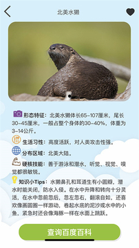Volnau截圖