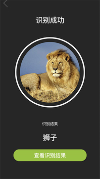 Volnau截圖