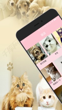 人猫狗交流器应用截图1