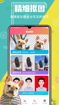 P圖軟件截圖