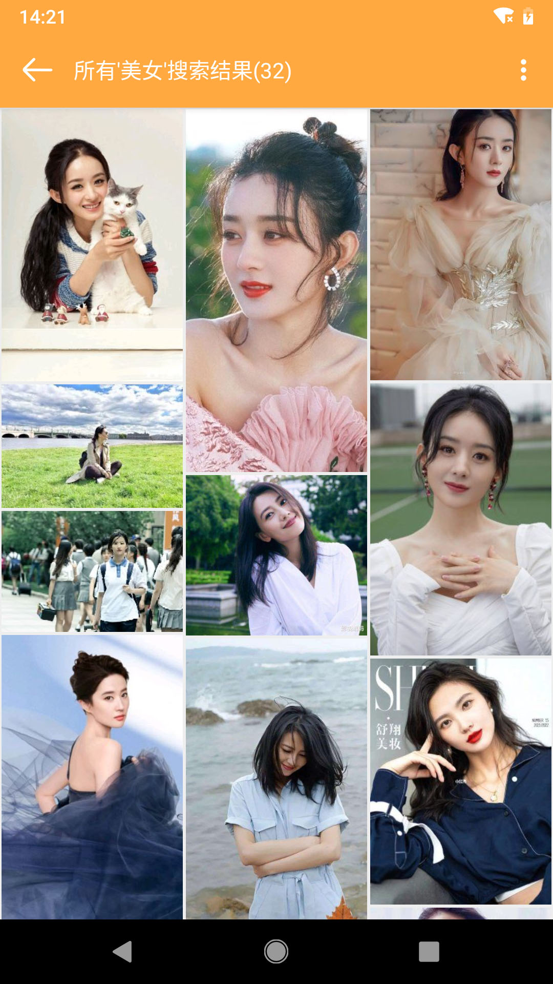 標(biāo)簽相冊(cè)截圖預(yù)覽