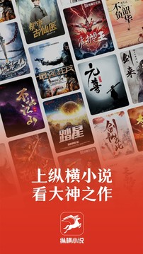 縱橫小說截圖