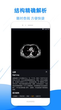 影像解剖圖譜截圖
