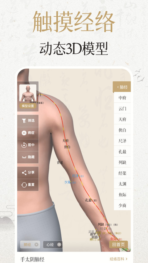 中济经络穴位v2.8.6截图5