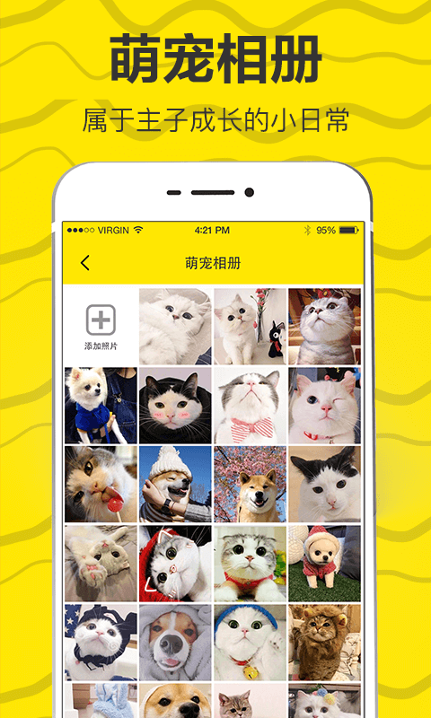 貓語(yǔ)翻譯截圖預(yù)覽