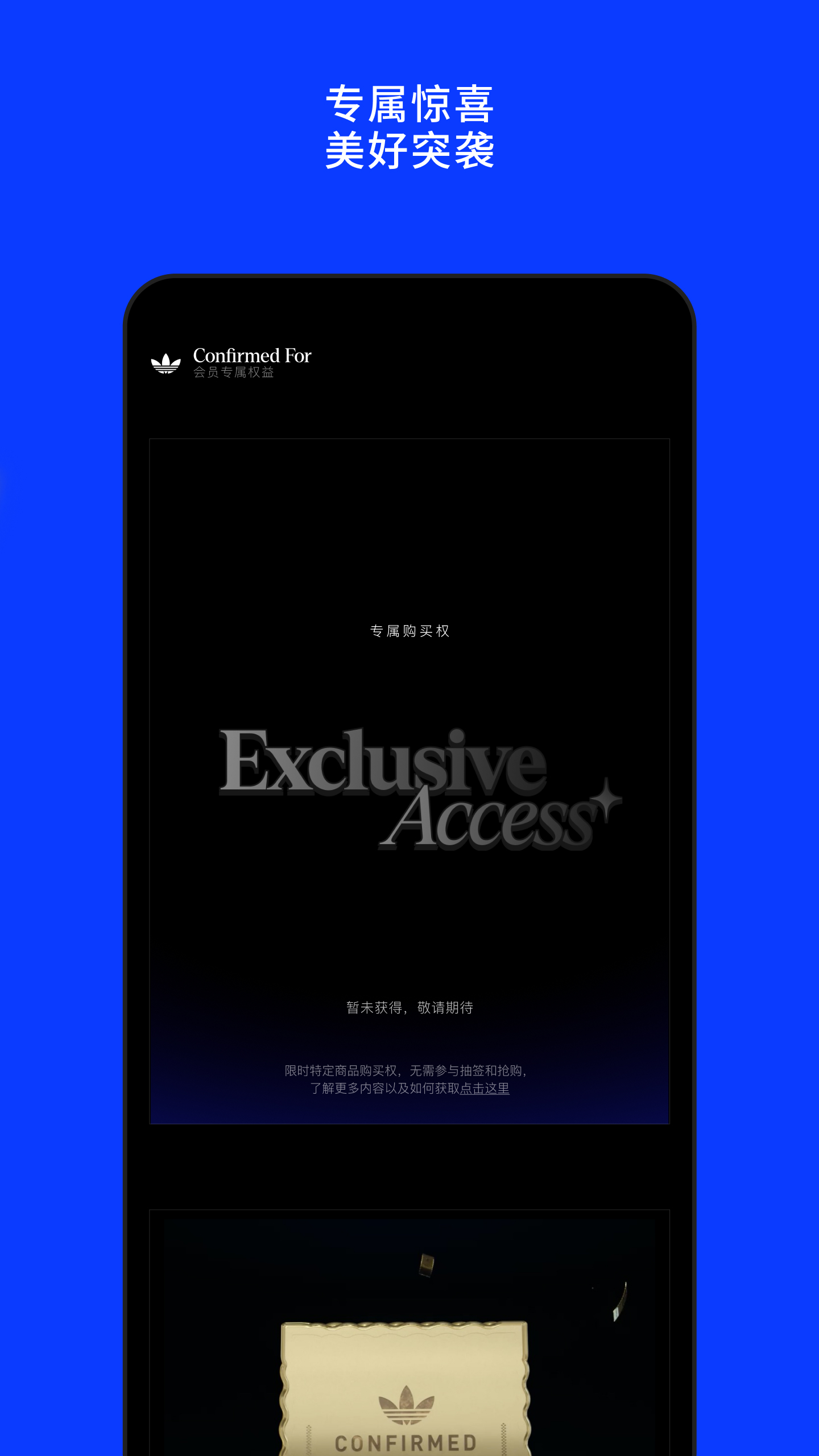 CONFIRMED截圖預(yù)覽