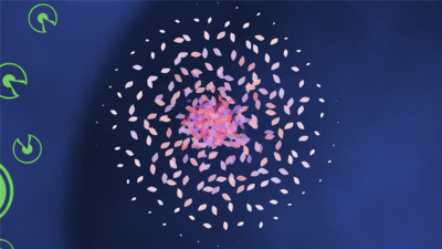 散花截圖預(yù)覽