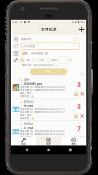 時(shí)間鎖定器截圖