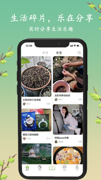 探枝截圖