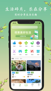 探枝截圖