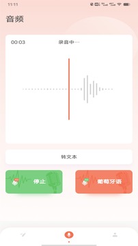 葡萄牙語(yǔ)翻譯截圖