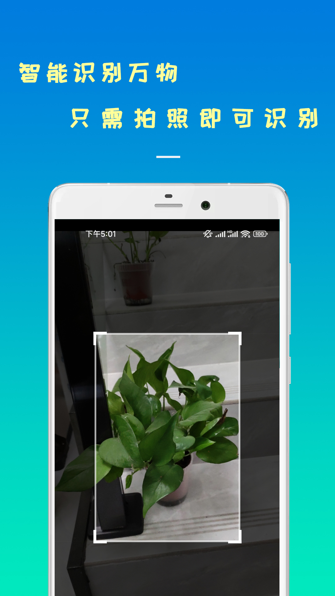 智能识物截图2