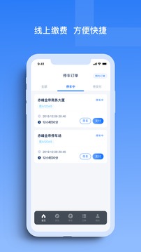 玉龍泊車截圖