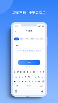 玉龍泊車截圖