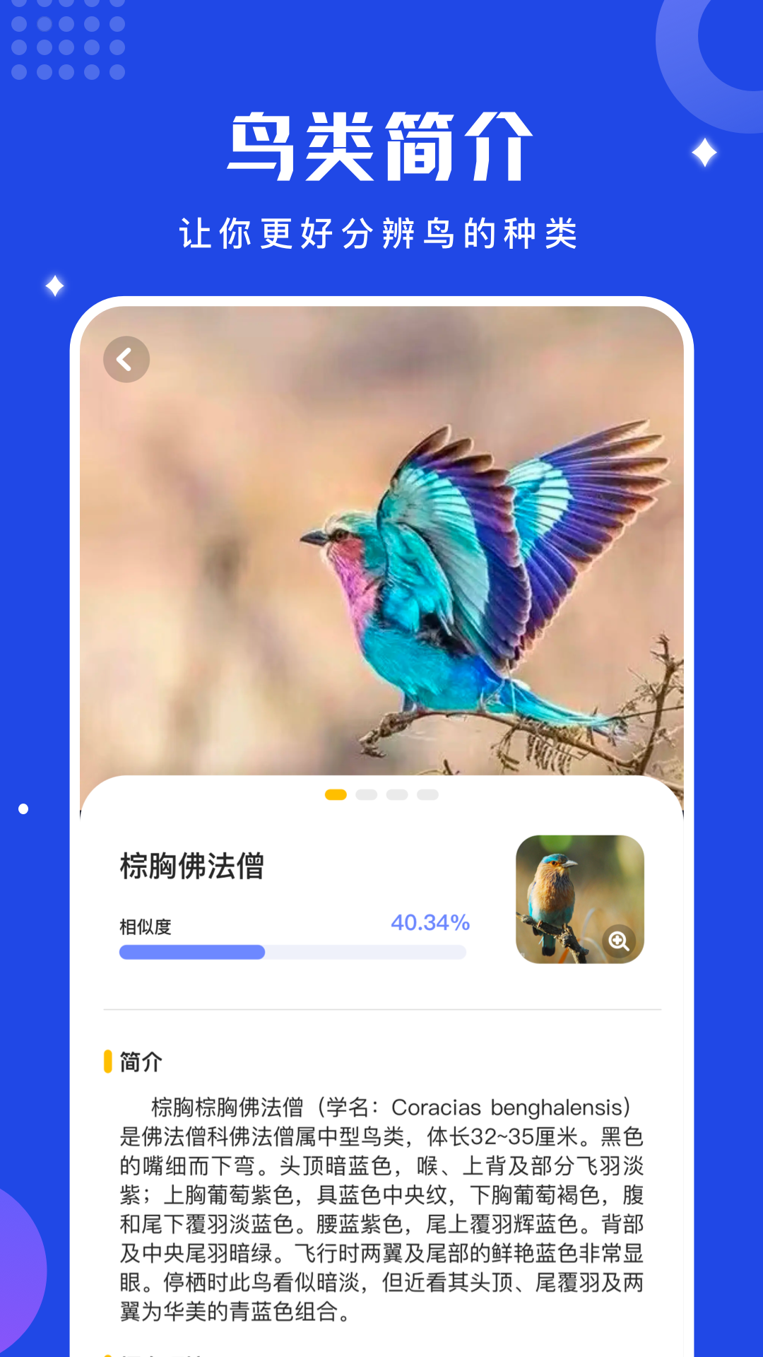 鸟语翻译器v1.11截图1