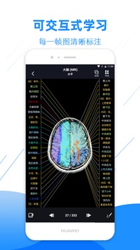 影像解剖圖譜截圖