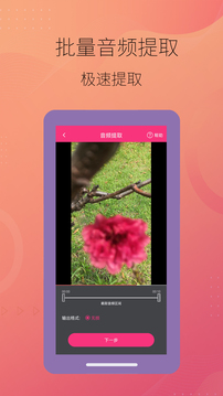 智能音頻提取器截圖