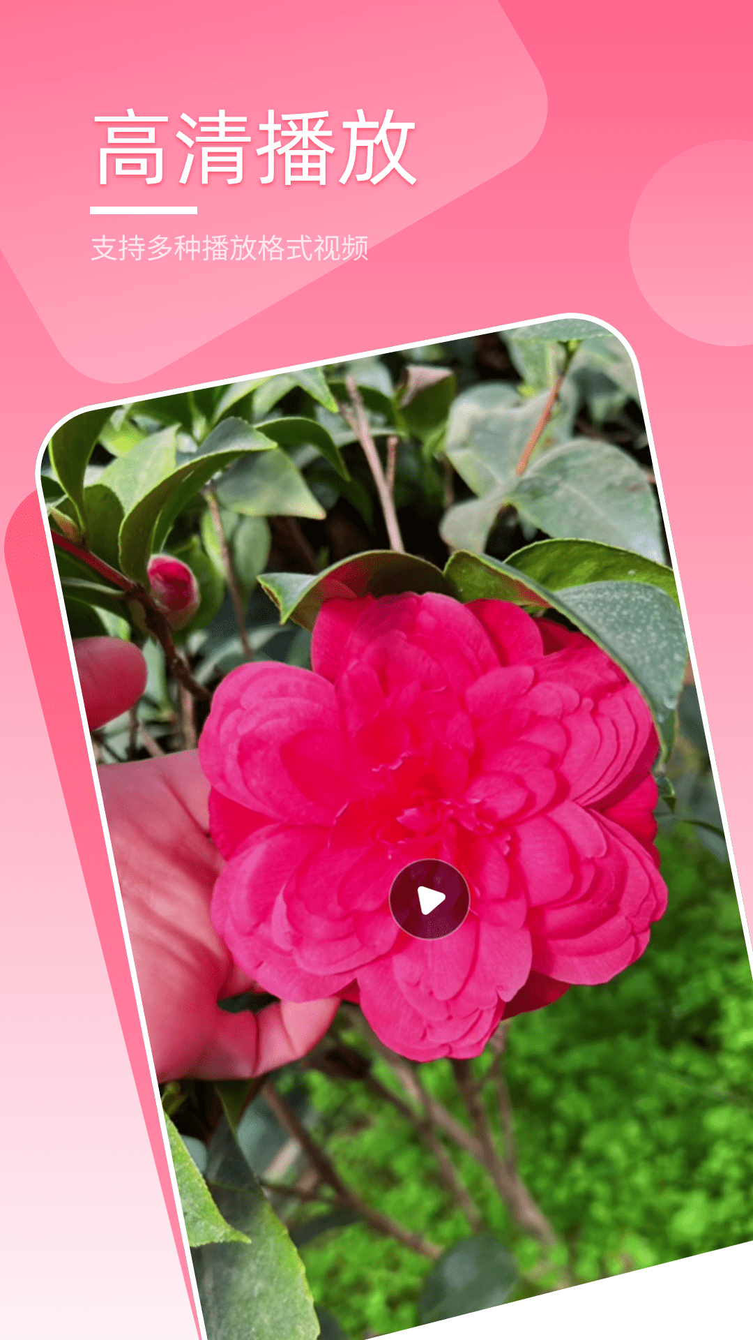 萬能播放器截圖預(yù)覽