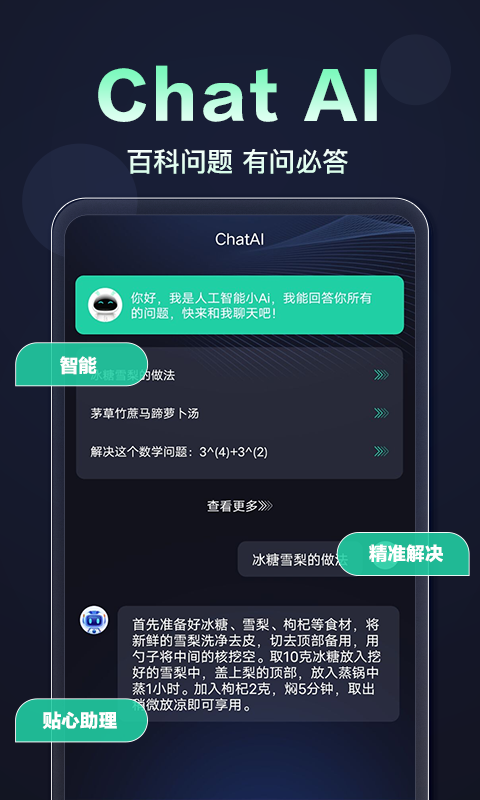 ChatAI截圖預(yù)覽