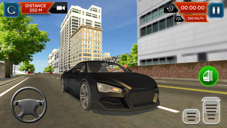 Real Car Driving School Sim 3D截图2