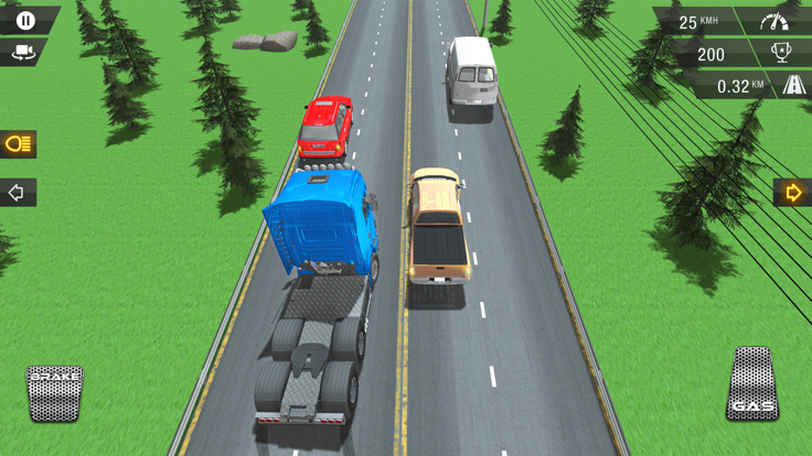 Racing In Truck截图3