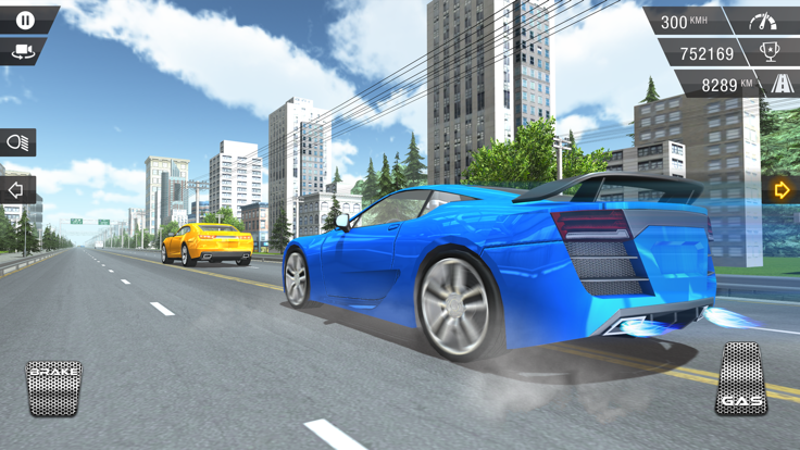 Racing In Car  Traffic Fever截图5