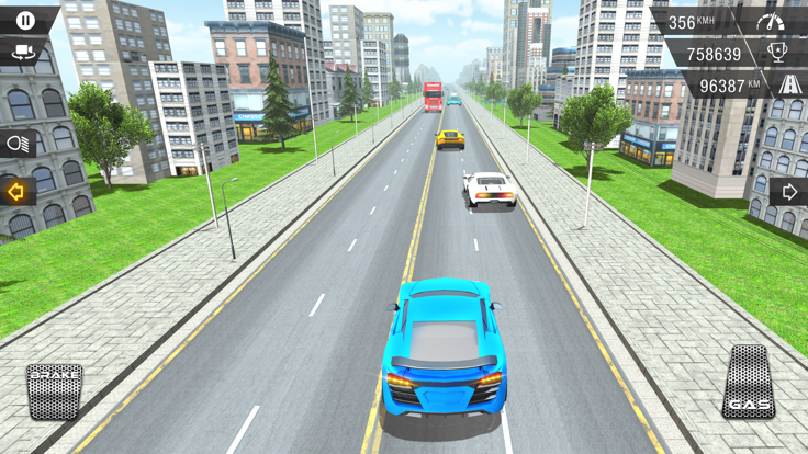 Racing In Car  Traffic Fever截图2