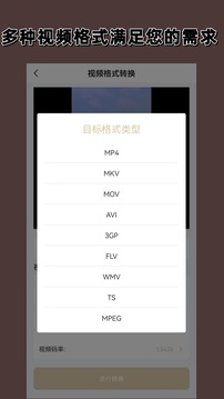 視頻格式轉換截圖