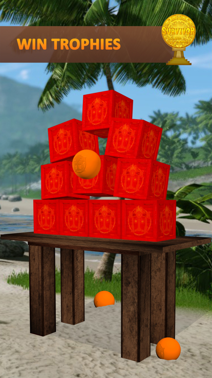 SURVIVOR Island Games截图4