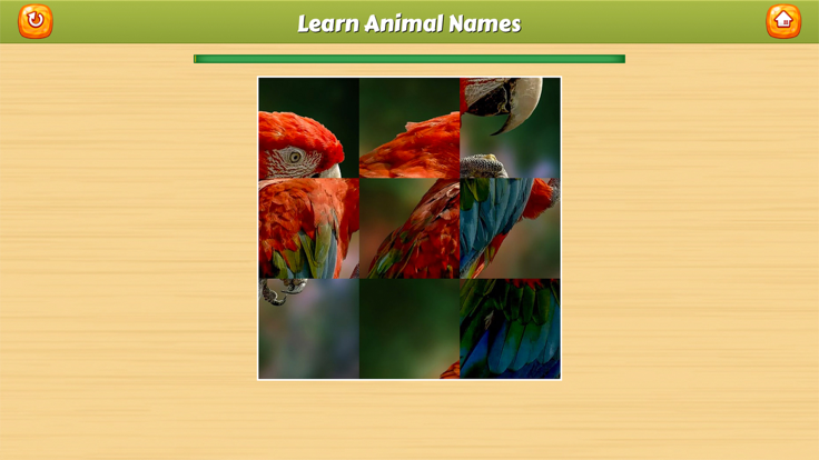 学习动物名称截图4