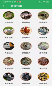 俺們村兒截圖