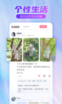 牽手一生截圖