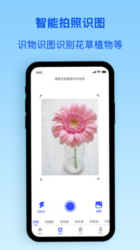 植物識別截圖